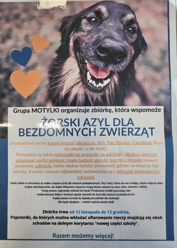 zbiórka dla zwierząt