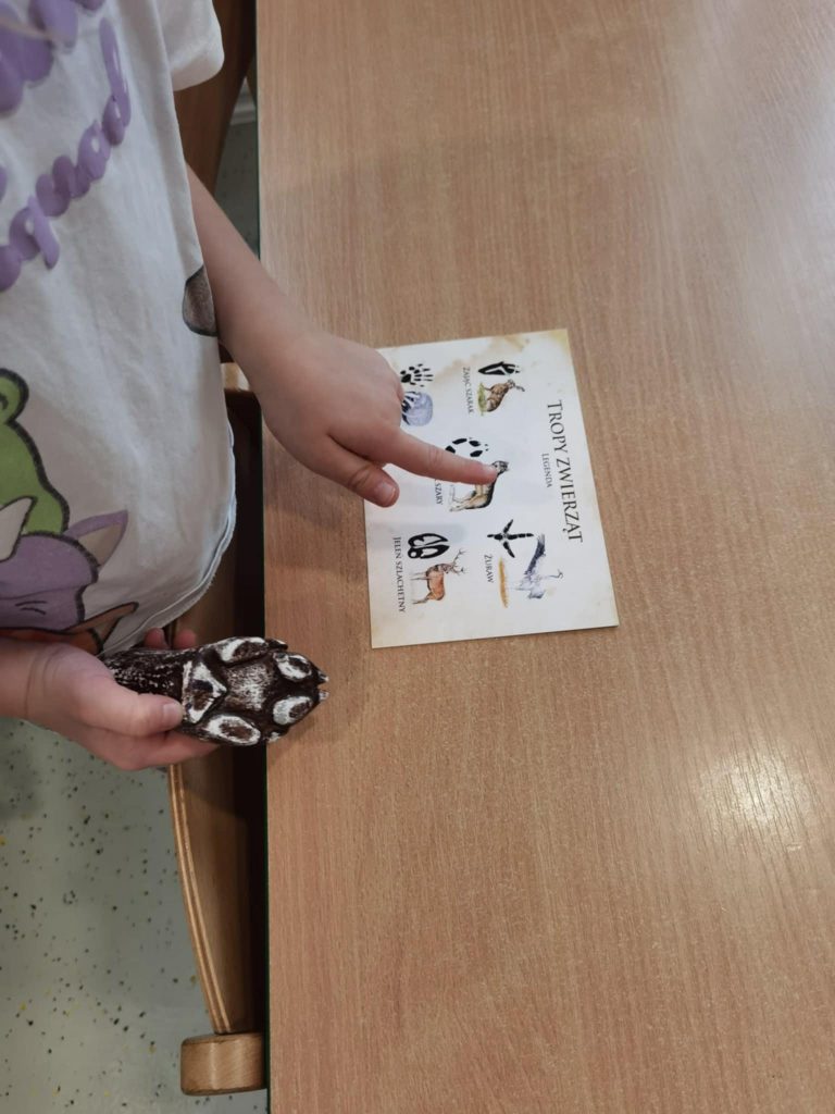 zajęcia ekologiczne