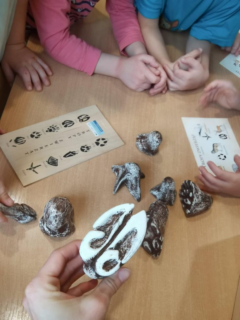 zajęcia ekologiczne