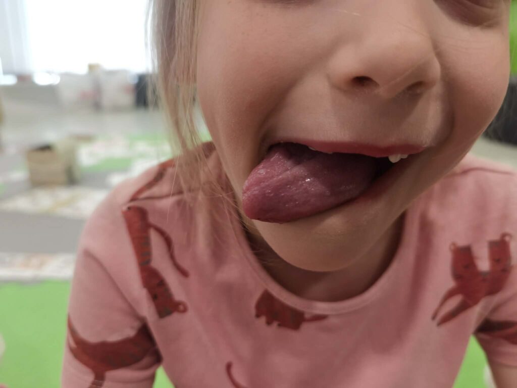 Zdjecie 
